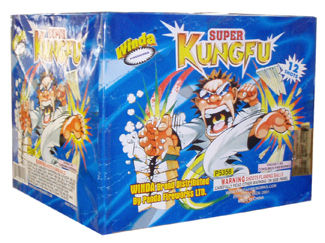 Super Kung Fu